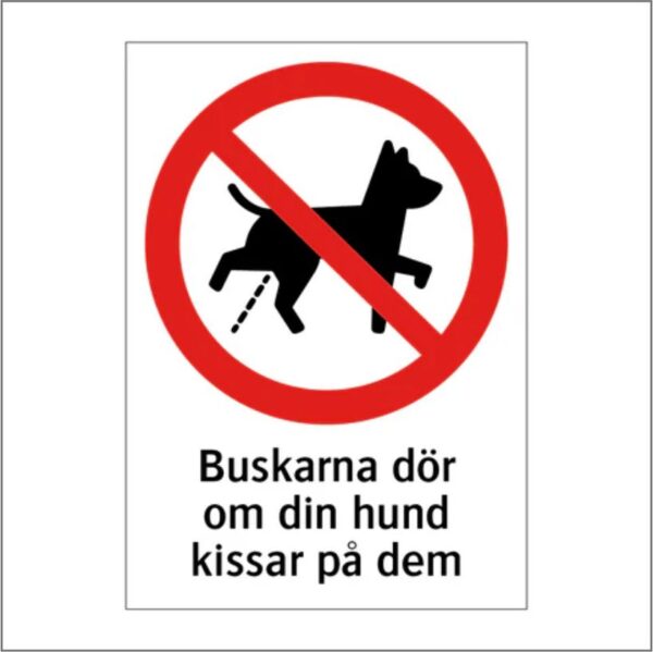 Buskarna dör om din hund kissar på dem